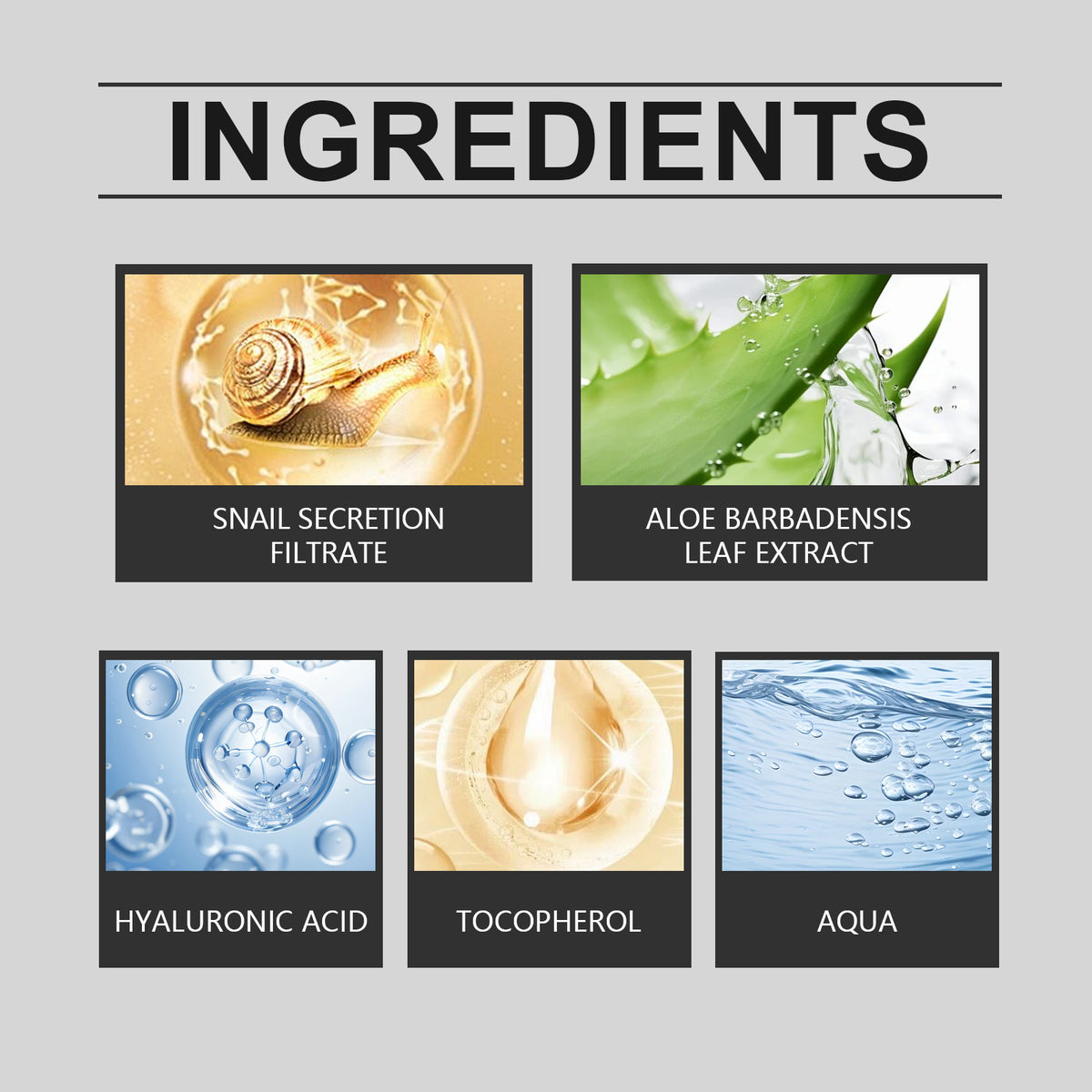 Snail Moisturizing Cream Hydrates And Moisturizes Facial Skin With Snail Nourishing And Firming Moisturizing Cream